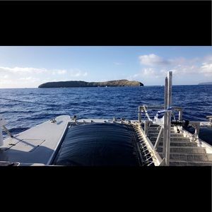 Meet your Posher, Tyson